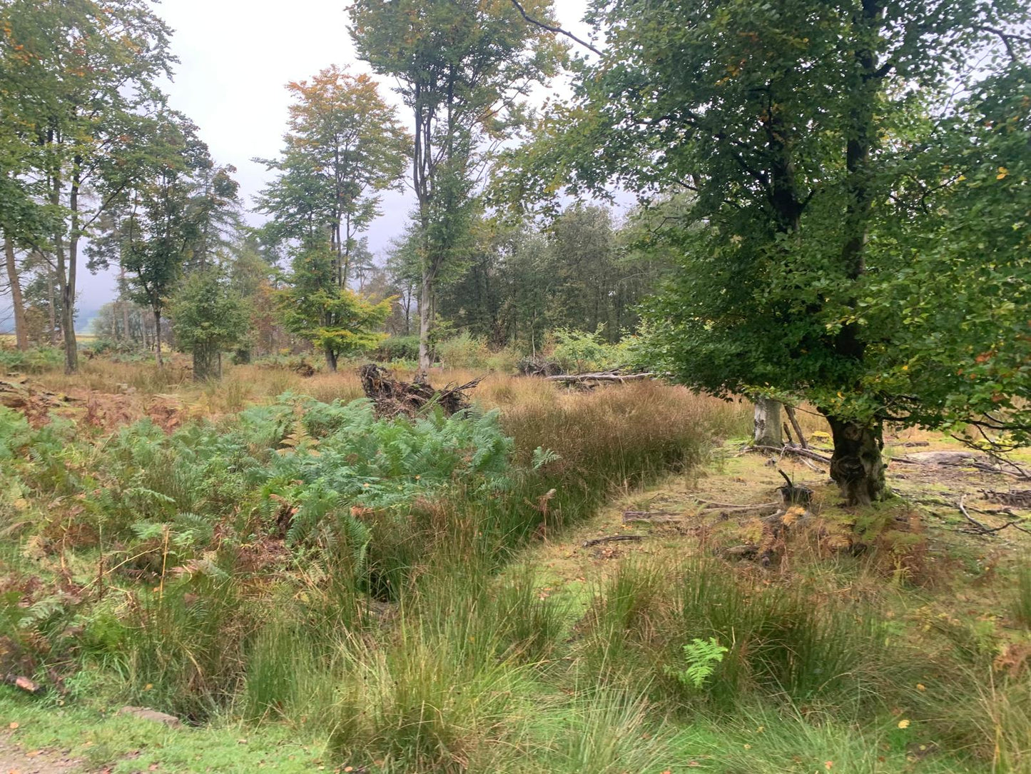 Longshaw Estate Guided Ride