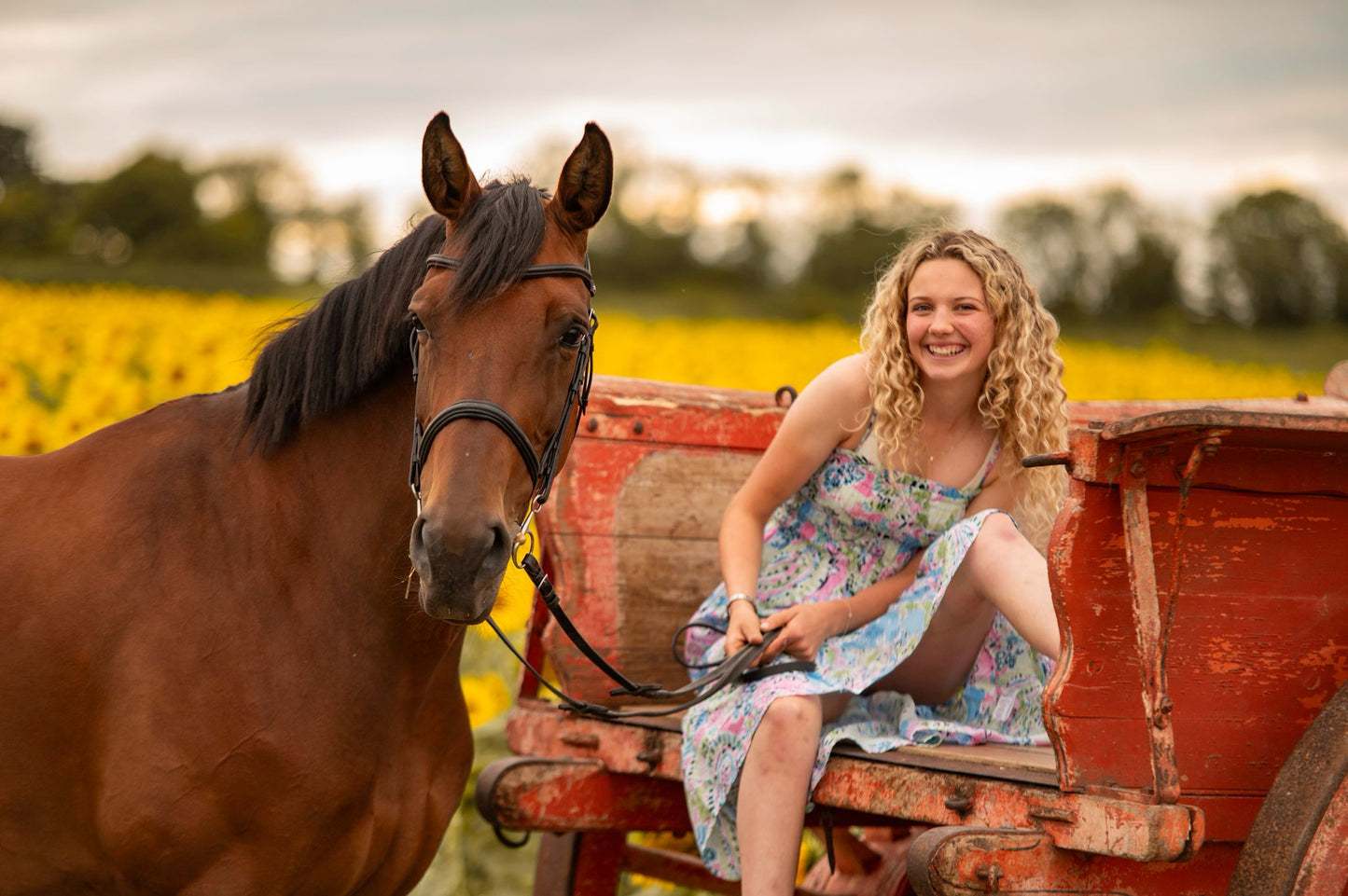 Dreamy Sunflower Equine Photo Shoot