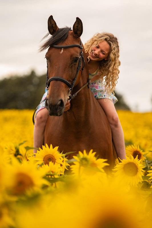 Dreamy Sunflower Equine Photo Shoot