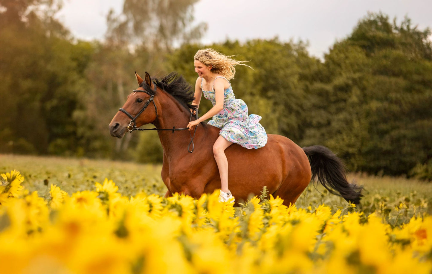 Dreamy Sunflower Equine Photo Shoot