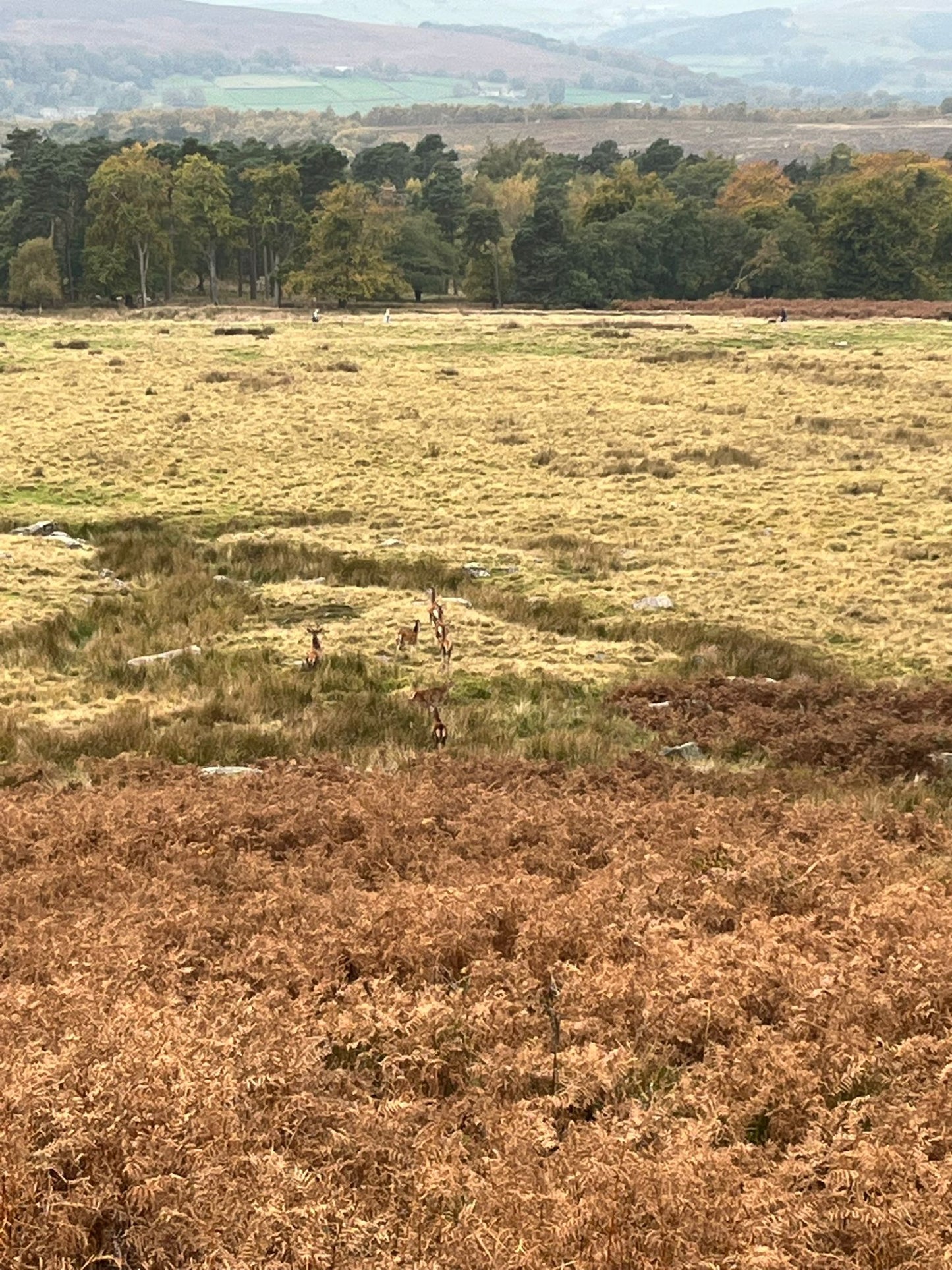 Longshaw Estate Guided Ride