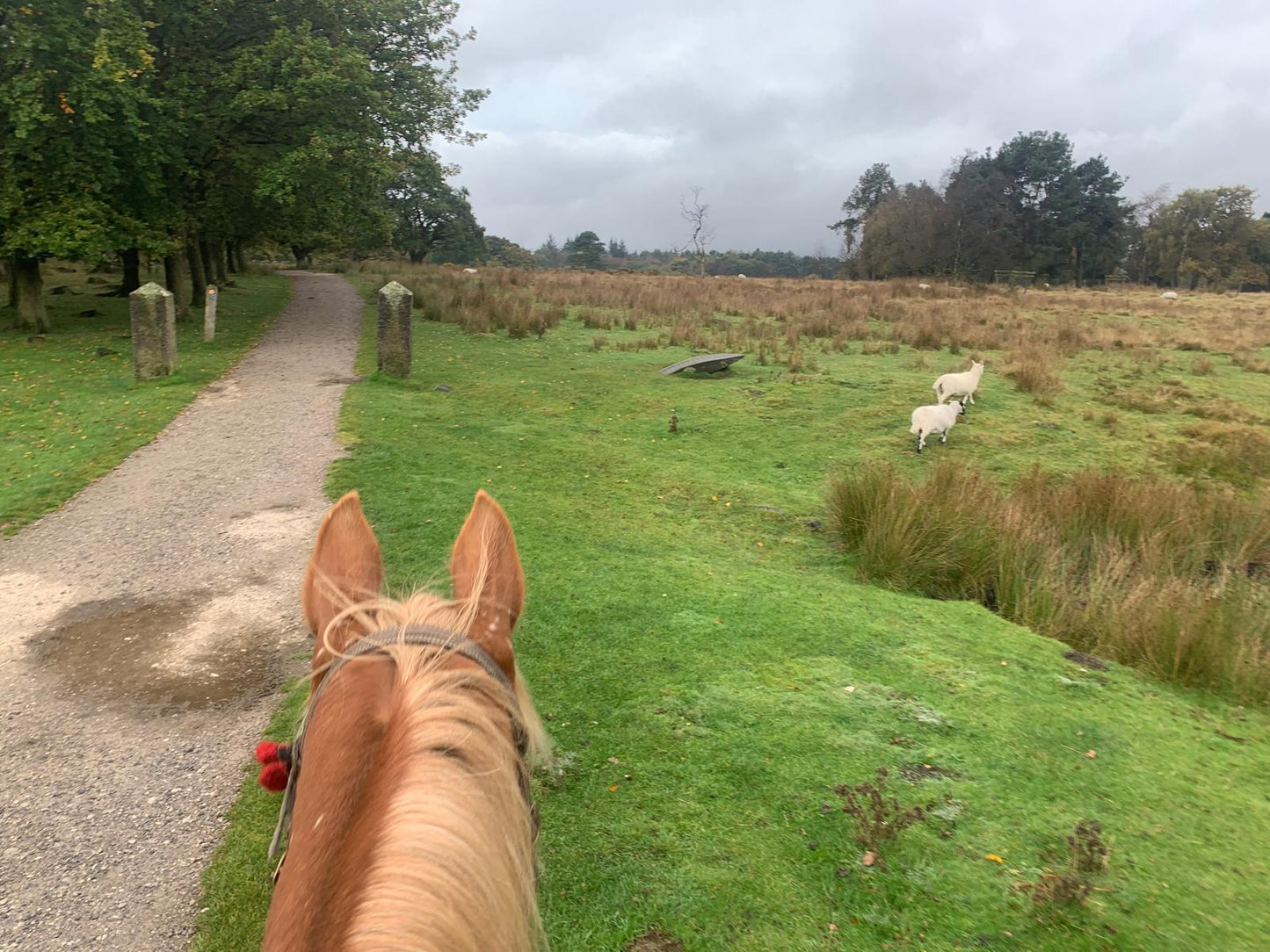 Longshaw Estate Guided Ride
