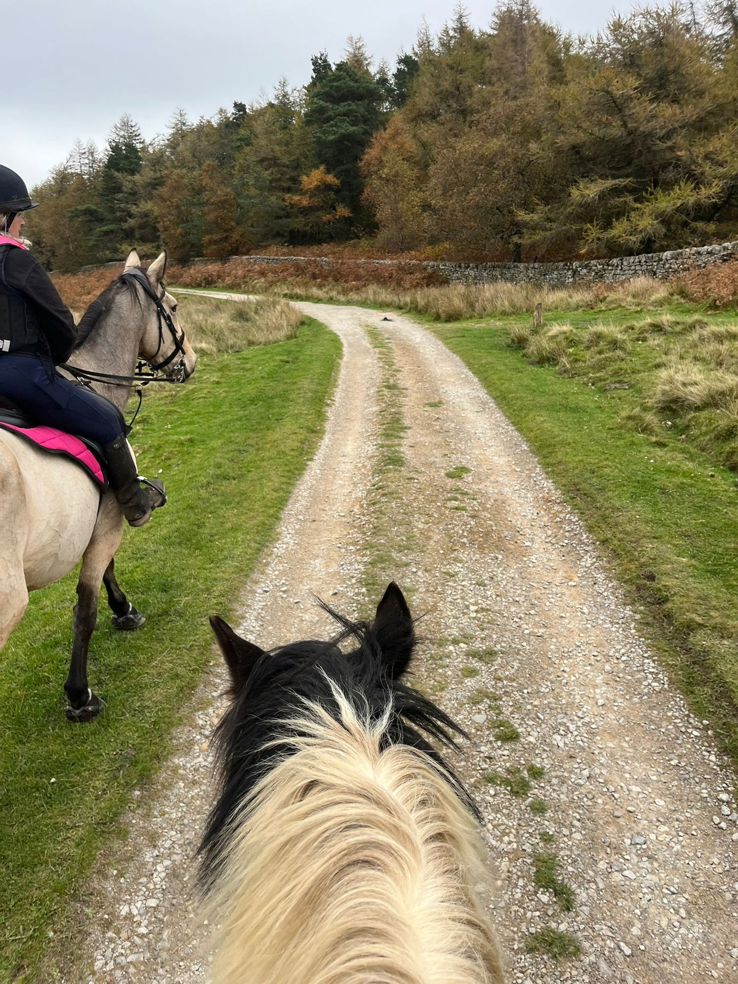 Longshaw Estate Guided Ride