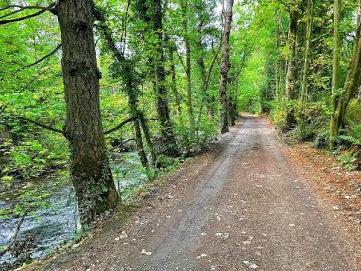 The Roman Lakes Ride | New Mills with Katy High Peak
