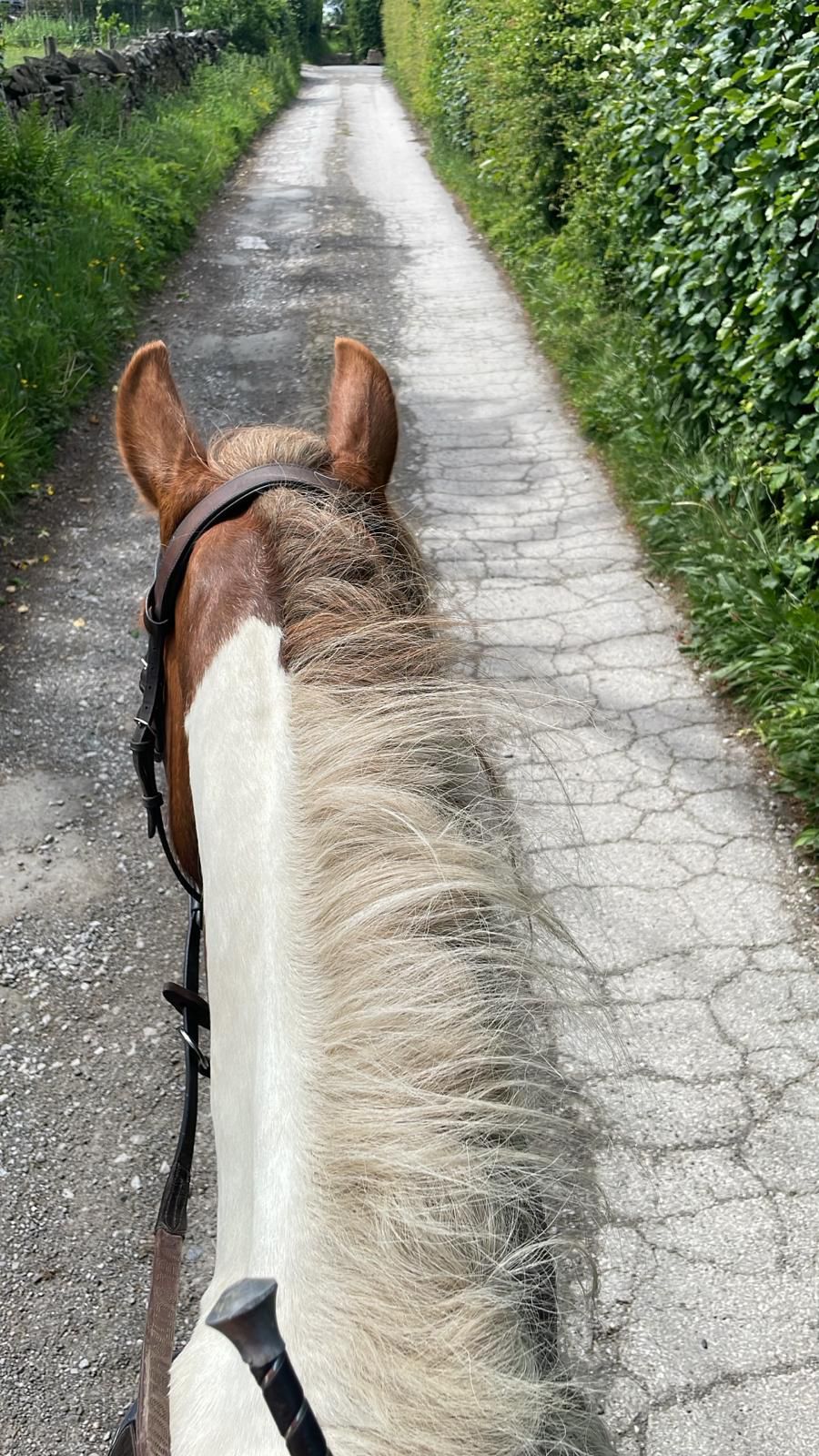 The Roman Lakes Ride | New Mills with Katy High Peak