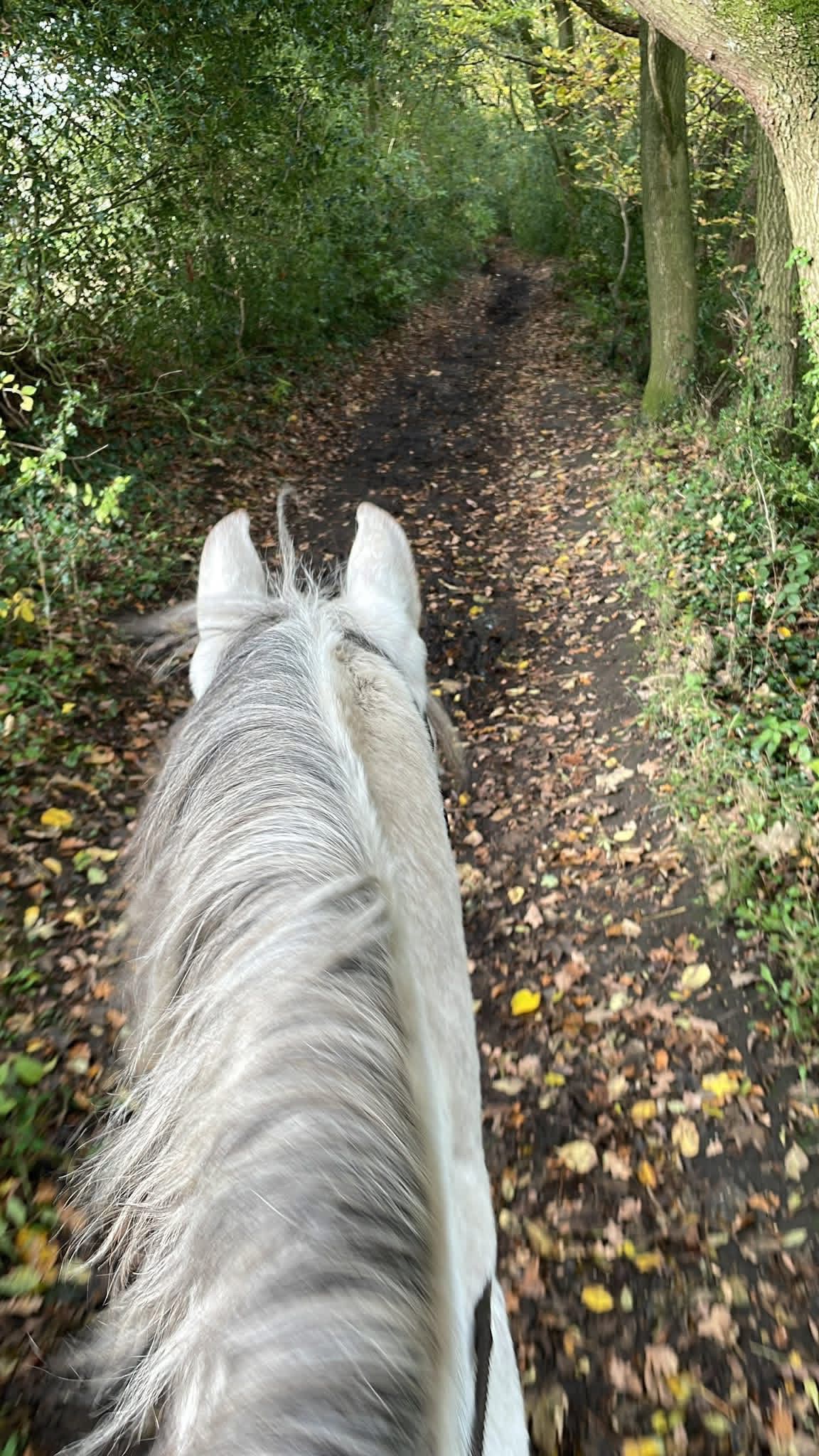 The Roman Lakes Ride | New Mills with Katy High Peak