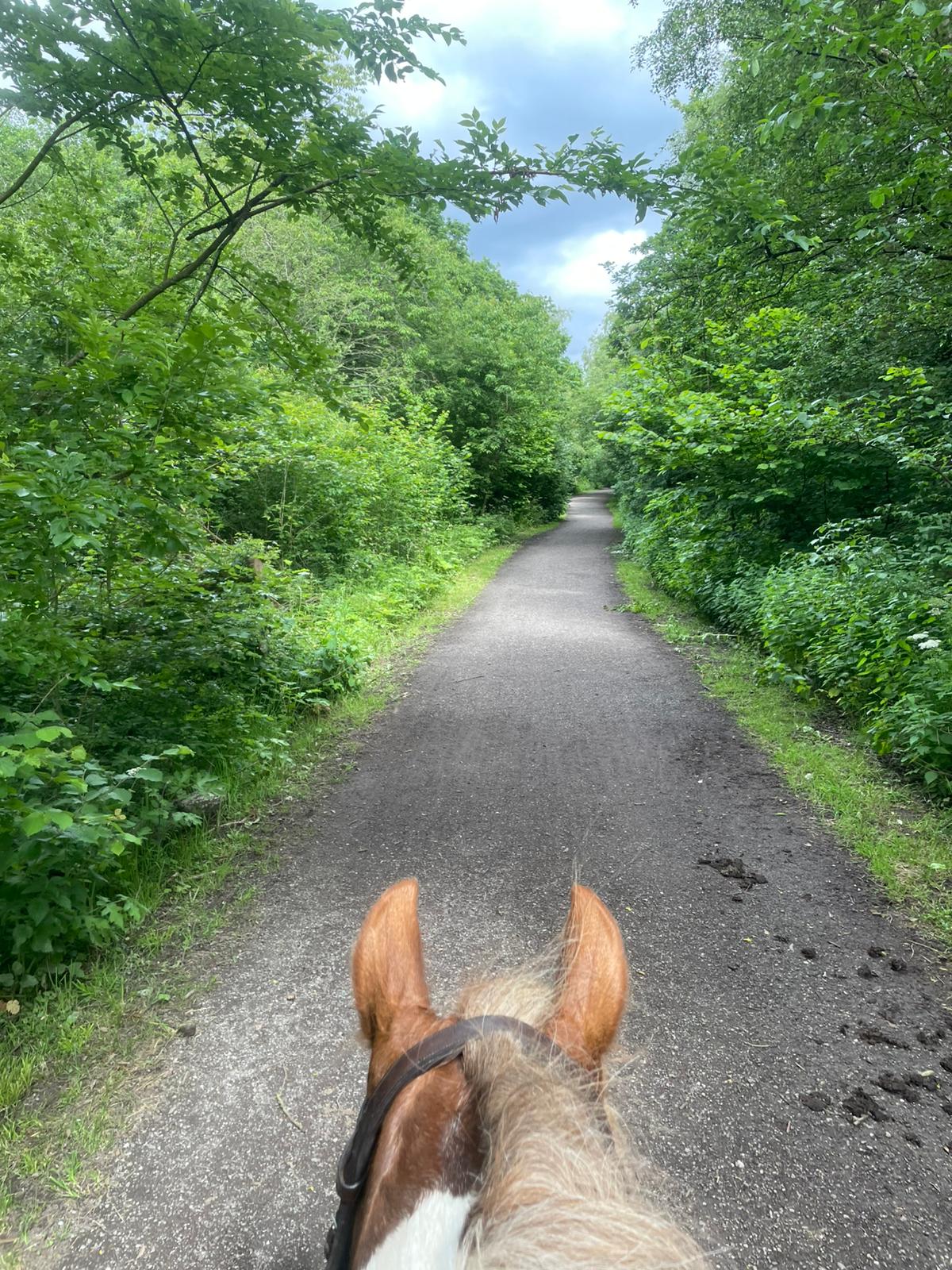 Guided Group Hack — Sett Valley Trail, Hayfield (with Katy)