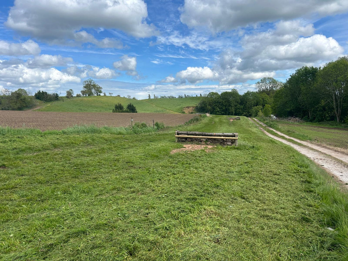 Tilstone Bank Guided Horse Ride | Cheshire | Cross Country